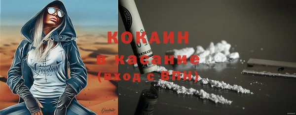 сатива Карпинск