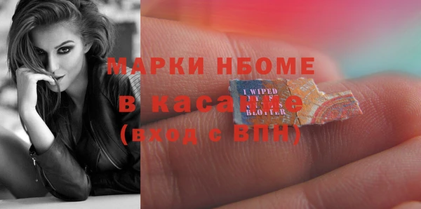 сатива Карпинск