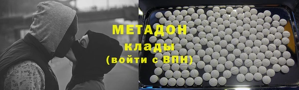 сатива Карпинск