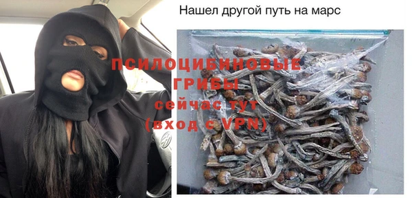 сатива Карпинск