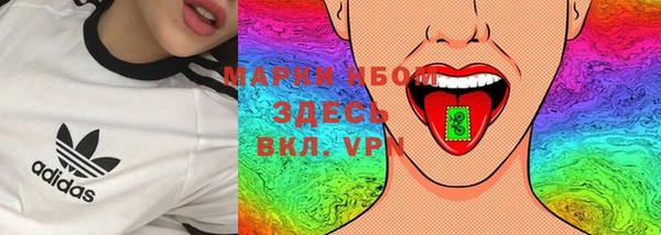 сатива Карпинск