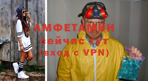 сатива Карпинск