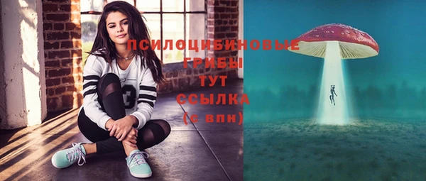соль ск Карталы