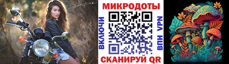 Купить  Гдов  Псилоцибиновые грибы GOLDEN TEACHER 