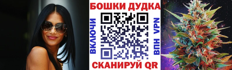 Бошки Шишки планчик  Купить  Гдов 
